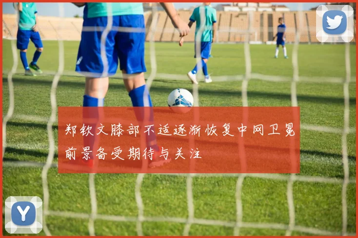 郑钦文膝部不适逐渐恢复中网卫冕前景备受期待与关注